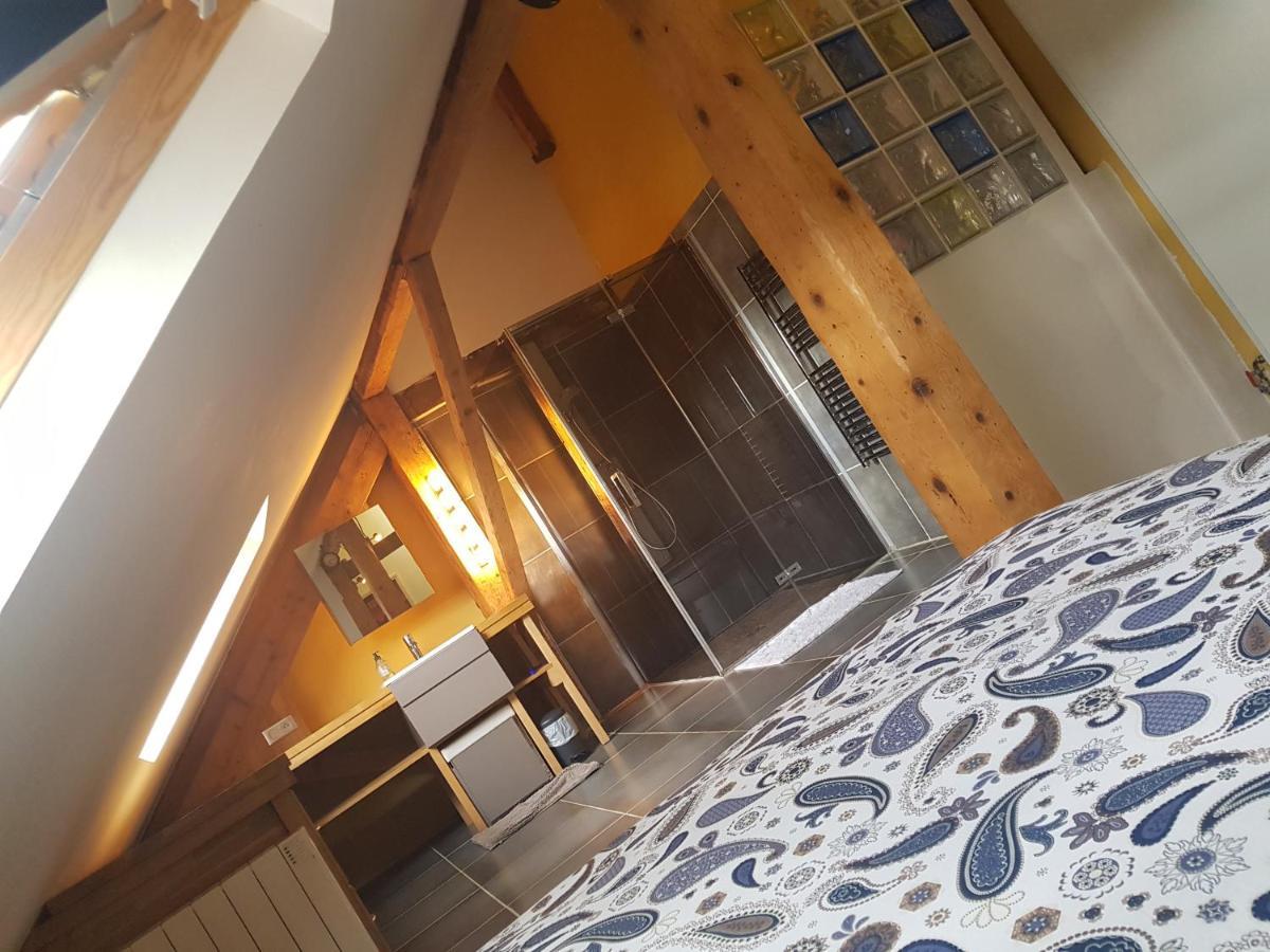 Loft Dans Les Pyrenees Apartment Oloron-Sainte-Marie Luaran gambar