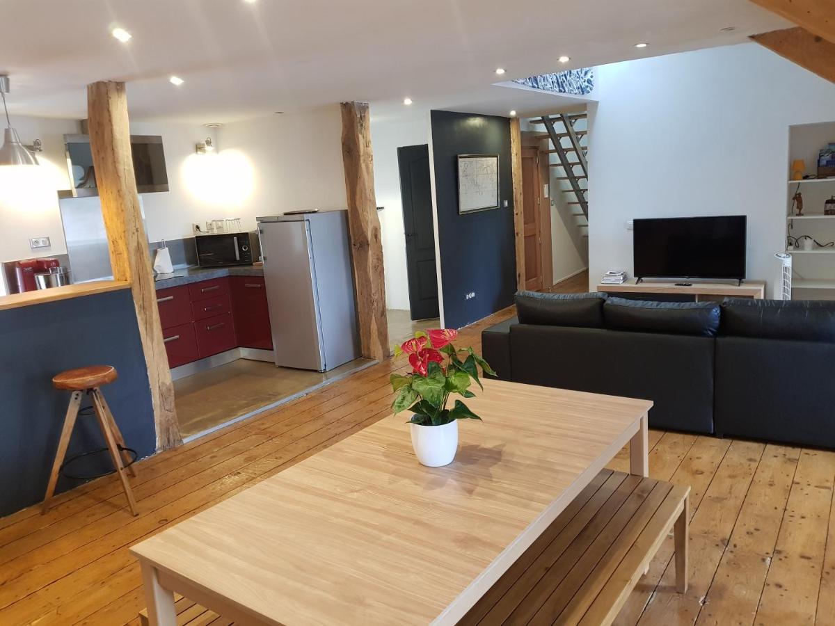 Loft Dans Les Pyrenees Apartment Oloron-Sainte-Marie Luaran gambar