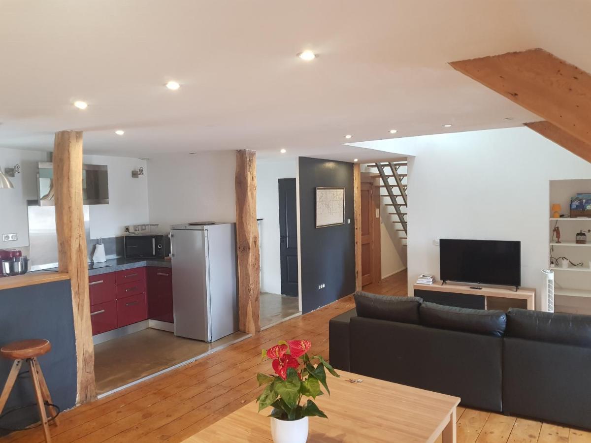 Loft Dans Les Pyrenees Apartment Oloron-Sainte-Marie Luaran gambar